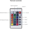 Lámpara de buceo LED24 control remoto de teclas lámpara colorida RGB para piscina lámpara para acuario lámpara de paisaje lámpara de botella de flores lámpara de fuente lámpara submarina