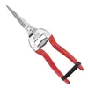 Tijeras Agrícolas, Tijeras para Podar Ramas, Tijeras para Podar Plantas, Tijeras de Jardinería de Punta Fina para Flores, Tijeras para Recolectar Fruta