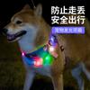 Mascota afuera por la noche collar luminoso collar de carga USB collar diy colorido perro viaje anillo anti-pérdida fabricantes venta al por mayor