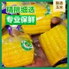 Maíz Fresco Frutal Hito de Hengxian, Listo para Comer, Desayuno sin Cocinar, Sustituto de Comida de Maíz Bajo en Grasa para Estudiantes, Al por Mayor