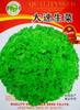 Fabricante Fonte Atacado Semente de Alface Outono e Inverno Saco Colorido Barraca de Sementes Originais Semente de Couve Chinesa Semente Muda Semente de Hortaliça