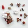 Paquete de Materiales Hechos a Mano para Bricolaje Flores Mixtas Plantas Flores Secas Piñas de Navidad Estilo Bosque para Jardín de Infancia Creación Ambiental Decoración