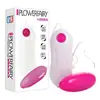 Huan Guo Vibrador Gêmeos Controle Remoto Elétrico Dispositivo de Masturbação Ueb Vibrador de Choque Forte Produtos para Saúde Sexual de Adultos