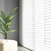 Sala de Estar, Dormitorio, Oficina Cortinas Shangri-La, Persianas Enrollables de Sol, Persianas Enrollables Sencillas de Gasa Suave
