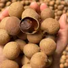 2026 Nuevo Stock Fruta Grande Gaozhou Longan Premium Fruta Seca 500g Por Libra Venta al por Mayor a Granel con Cáscara Grado Especial Longan Seco