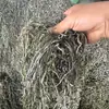 Tiras de Algas Secas Weihai al por Mayor para Vendedores Ambulantes, Libres de Arena, Gruesas y Secas, Adecuadas para Hot Pot Picante, Uso Comercial