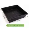 Bandejas para Mudas, Vasos para Mudas, Bandejas para Mudas de Arroz, Bandejas para Brotos, Bandejas Quadradas de Plástico, Bandejas para Maca, Bandejas Retangulares