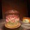 Kit DIY Artesanal de Material para Abajur de Tulipa Termoencolhível para Presente de Aniversário da Namorada, Tanabata, Dia dos Namorados