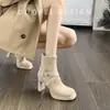 Botines de Tobillo de Tacón Alto Cuadrado de Gamuza Francesa Otoño/Invierno 2026 para Mujer Botas Adelgazantes de Tacón Grueso Cremallera Trasera Botas Western Martin
