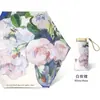 Guarda-Sol Flor de Óleo 50% de Desconto Guarda-Sol 50% de Desconto Guarda-Chuva de Seis Varetas Proteção Solar Toldo Guarda-Sol Ultraleve Pequeno Dobrável Guarda-Chuva Cápsula Guarda-Chuva Publicitário