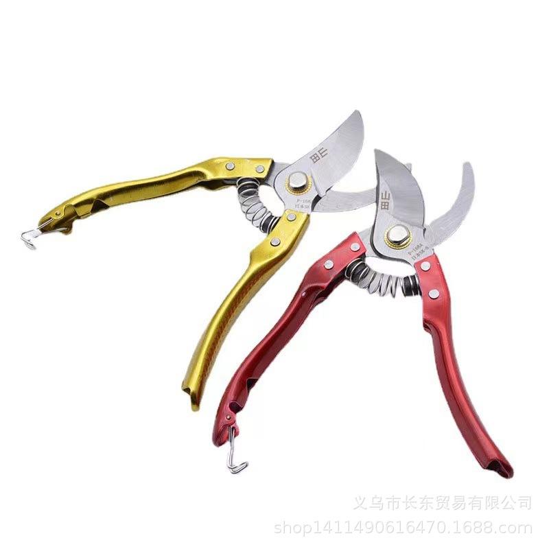 3e84ddc37904a3855d804796aca537