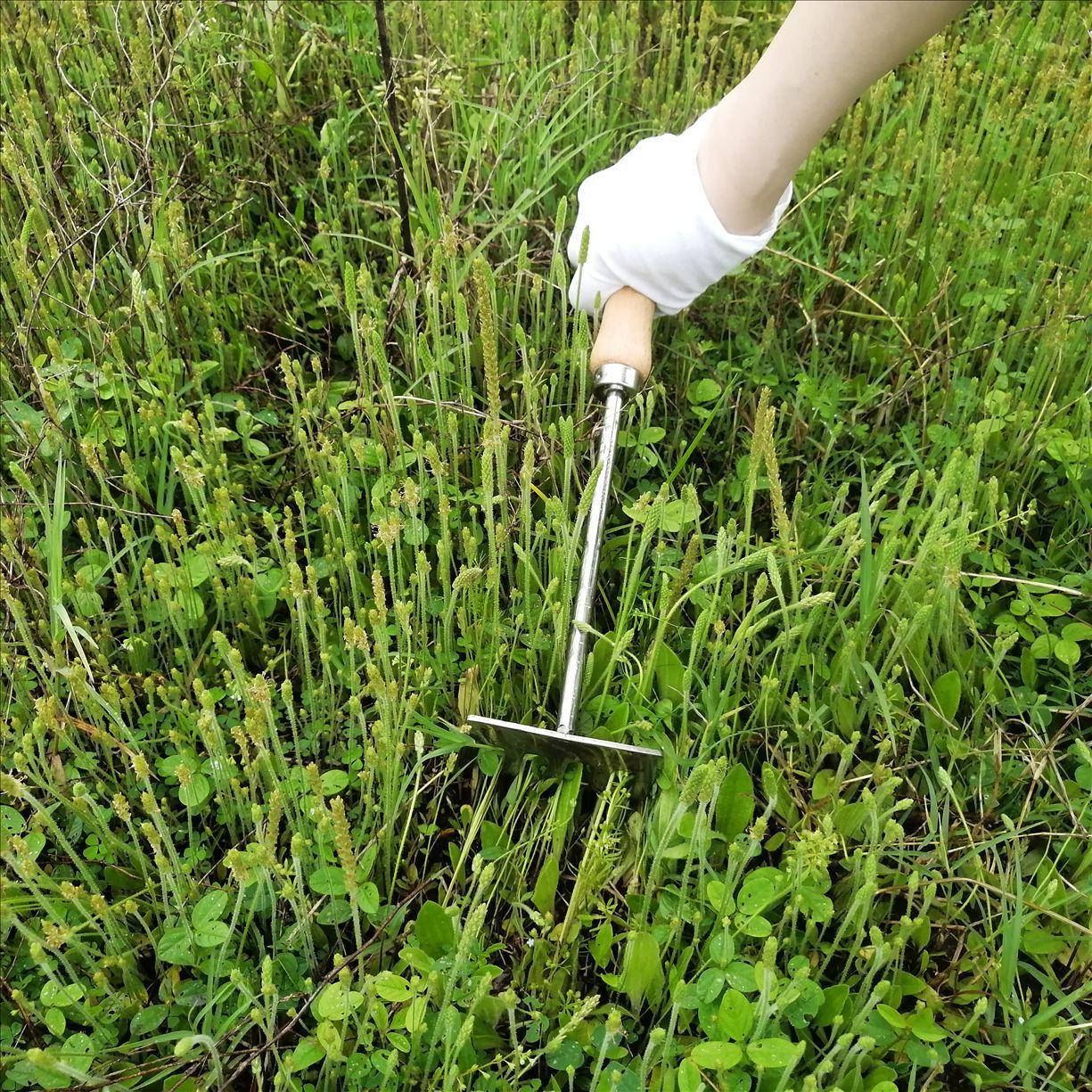 微信图片_20250419152015_已修改