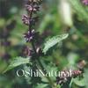 Indonésia garra wa óleo essencial de patchouli orgânico importado natural aromaterapia cuidados com a pele massagem óleo essencial unilateral matérias-primas