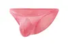 Ropa interior sexy de cintura baja para hombre de Europa y América, bikini de malla transpirable, E-091