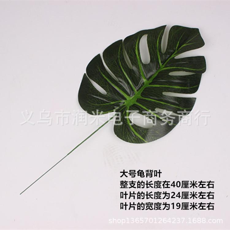 IMG_8304_副本_副本_副本