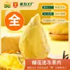 Polpa Congelada Rápida de Durian Thai Golden Pillow Cultivado Comercial 3Kg/Saco Sem Caroço Grau A Polpa Congelada de Durian Grau A Inteira