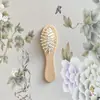 Peine Masajeador Especial para Cabello Largo y Rizado de Mujer, Peine Suavizante con Bolsa de Aire, Portátil para el Hogar, Venta al por Mayor