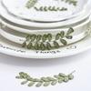 Folha espinhosa Marechal flor seca diy moldura de foto artesanal marcador aromaterapia gota cola flor seca em relevo saco caso de telefone móvel espécime de planta
