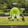 Escultura de fibra de vidrio de simulación de pavo real al aire libre con pantalla abierta, decoración de animales del bosque para parque, paisaje de jardín, boceto de jardín