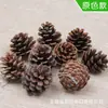 Clássico 9 Peças, Pinhas Naturais de 4cm, 2 Opções Disponíveis, Cor Original e Estilo Floco de Neve Joias de Pinhas Naturais