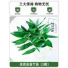 Plantas Hidropónicas en Maceta con Flores, Flores de Interior y Plantas Verdes, Plantas Acuáticas Fáciles de Cuidar en Todas las Estaciones, Rábano Verde, Espárragos Ricos, Arracacha, Palmera Roja y Blanca