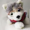 Muñeca de algodón de 20 cm hermana JK juguete gafas de gatito y cachorro de doble rayo de metal accesorios para fotos espejo decorativo para mascotas tendencia