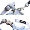 Set de correa para gato en forma de I con degradado, ajustable, anti-escape, seguro para uso en exteriores, disponible para venta al por mayor