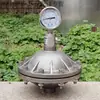 Amortecedor de Pulsação Tipo Diafragma de Aço Inoxidável 304 316L Buffer de Pulsação DN15/20/25 Tipo Diafragma PVDF
