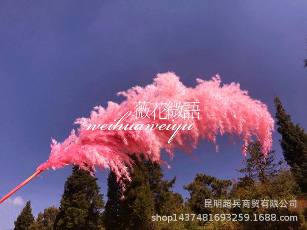 QQ图片20171110132807_副本.jpg