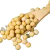 Nueva cosecha de soja de granjas del noreste, sin OGM, alta en proteínas, especialmente diseñada para hacer leche de soja, granos regordetes, granos enteros