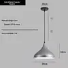 Lustre de Cabeça Única Moderno Criativo para Restaurante Estilo Industrial Lojas de Hot Pot Self-Service Lâmpadas Coloridas Comerciais para Salão de Cabeleireiro