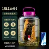 Botellas de Vidrio para Encurtidos, Botellas de Vino Caseras, Frascos de Vino, Frascos Sellados, Botellas para Encurtir Verduras