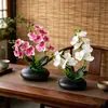 Película Impresa en 3D Nueva 12 Flores Phalaenopsis Bonsái Flor Fábrica Suministro Directo Moda Decoración del Hogar