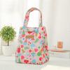 Bolsa Térmica Estilo Coreano para Almoço, Bolsa Térmica Impermeável Espessada com Filme de Alumínio Portátil para Exterior, Bolsa Térmica para Piquenique, Bolsa Térmica, Bolsa para Marmita