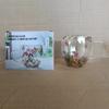 Taza Creativa Transfronteriza de Vidrio de Borosilicato Alto con Flores Secas Nueva Simple Aislada de Doble Capa para el Hogar Taza de Alto Valor Venta al por Mayor