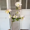 Flor de Seda de Loto Plateado Artificial Flor de Begonia Pasillo de Boda Decoración Suave para el Hogar Arreglo Floral Materiales Florales DIY Venta al por Mayor Decoración de Sala de Bodas