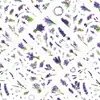 5 Hojas Pegatinas Transparentes PET Lavanda Tranquila Estilo INS Flores Moradas Plantas Florales Pegatinas para Funda de Teléfono Diario