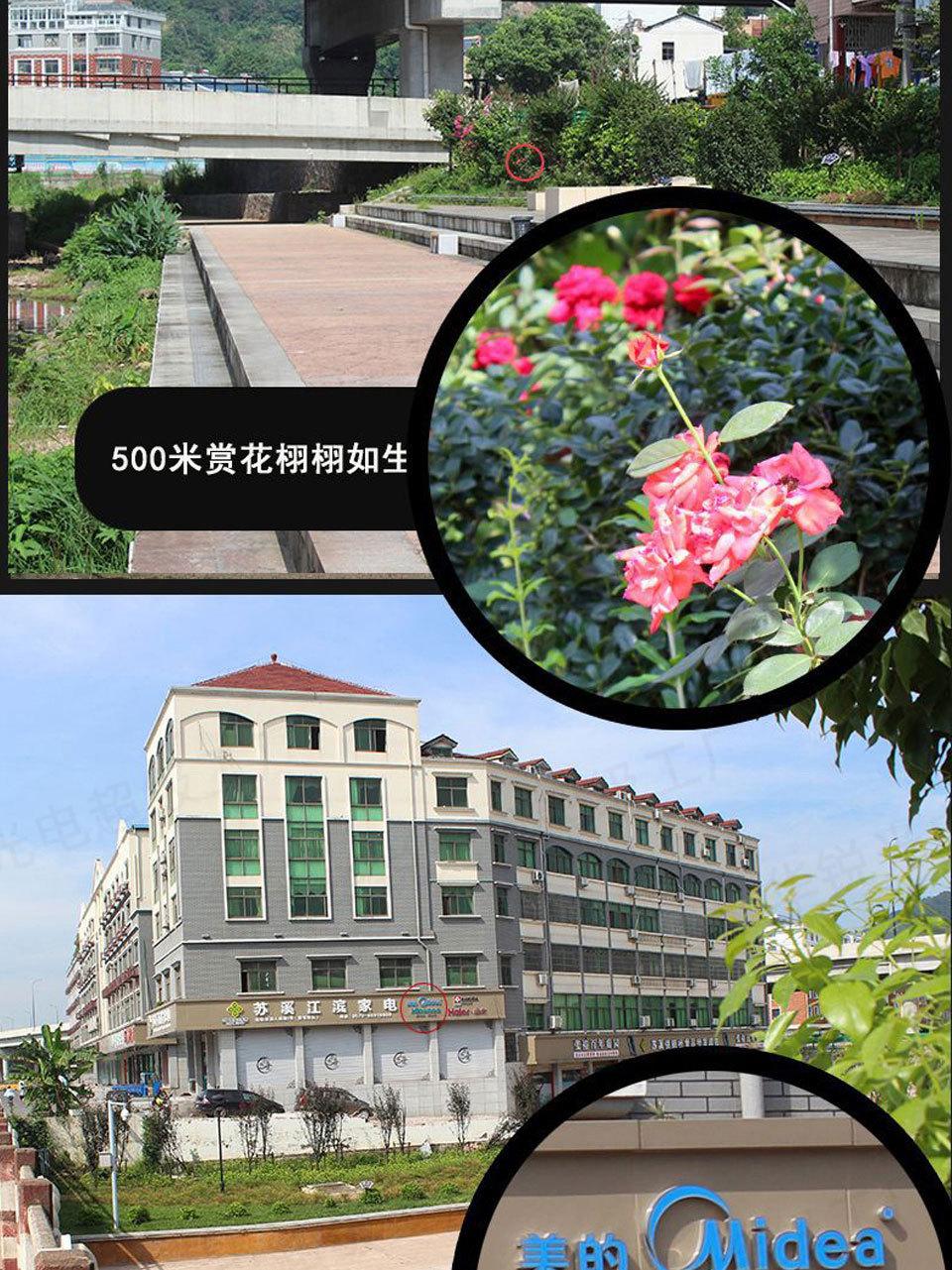 保罗A_12.jpg