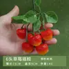 Modelo de fresa simulada, Rodajas de fresa verdes y blancas, Fruta falsa de plástico PVC, Accesorios de fotografía, Materiales didácticos cognitivos para niños, Artículos decorativos