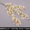Serie de Flores de Tira Color Champán Seda Artificial de Boda Niebla Phalaenopsis Arco de Salón de Bodas Ramo de Decoración Falsa Dropshipping