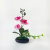 Estilo Luxo Leve 3 Flores 2 Folhas 1 Grama Phalaenopsis Flor Artificial Ornamento de Mesa ins Arranjo Floral de Alta Qualidade Ornamento Floral para Mesa de Jantar