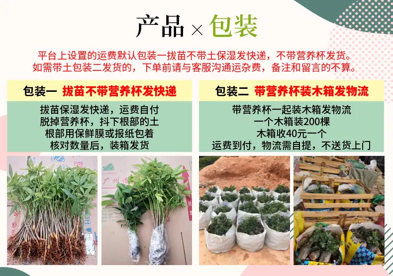 稿定设计-9.png
