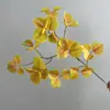Hojas de Bodhi Artificiales de Alta Realidad, Ramas Falsas con Colores Otoñales y Hojas de Olmo Artificiales para Decoración del Hogar, Eventos de Boda y Decoración de Paisajes
