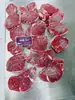Bife Filé Mignon Angus Australiano 243 Fênix Roxa Corte Original Bife Infantil Filé mignon Culinária Ocidental Wellington