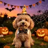 Disfraz de Halloween para Mascota Calabaza Estampado de Araña Sombrero Puntiagudo de Mago Gato Perro Caballero Corbata de Moño Collar Accesorio para Foto