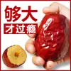 Tienda Oficial Principal de Jujube Especial de Xinjiang Hotan, Rey Jujube Grado Especial, Snacks para Mujeres Embarazadas, Frutas Secas Nuevas, Sopas y Gachas