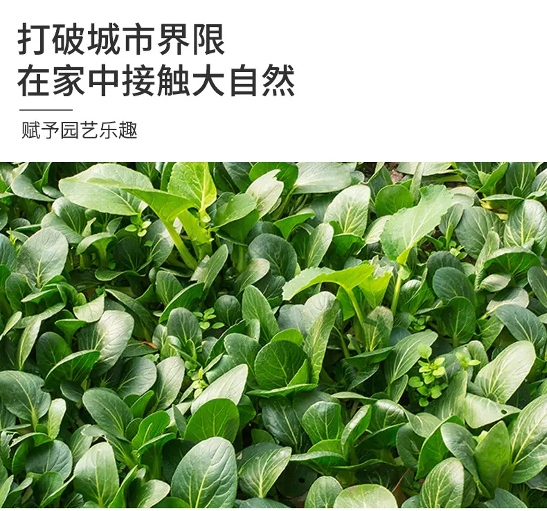 详情_04