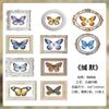 Em aço. Eu Coleção Borboleta Série Material de Impressão Tipográfica Bolsa Retro ins Borboleta Mão Conta DIY Paisagem Material Papel