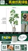 Pé de Pato Madeira Simulação Planta Verde Planta Falsa Alta Qualidade Sala de Estar Planta em Vaso Interior Grande Bonsai Biônico Hotel Decoração de Chão