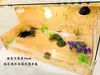 Caixa de Criação de Tartarugas, Caixa de Codornas, Caixa para Pets Répteis, Caixa Isolada para Tartarugas, Caixa de Madeira Maciça com Borda Amarela para Geckos, Lagartos, Cobras e Tartarugas Aquáticas